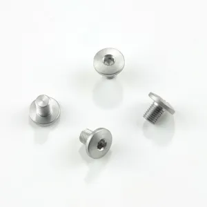 Hogue SIG Sauer P938 Screws 4 Hex Head Long Wood Grips Only Stainless Steel