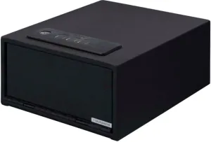 Best Gun Cabinets (2026): 8 Top Picks for Display and Budget Storage 21 Stack-On Biometric Gun Safe Electronic Keypad Steel Black Small