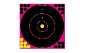 Birchwood Casey Shoot-N-C Targets: Bull s-Eye Pink 12-inch Bull s-Eye 100 Targets