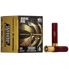 Premium Personal Defense 410 Bore 2-3/4'''' #4 Shot Shotgun Ammo - Premium Personal Def 410 Bore 2-3/4'''' 7/16oz #4 Shot 20/Box