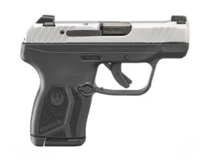 Ruger LCP Max Compact .380 ACP 2.80" 10rd Pistol, Black / Matte Stainless