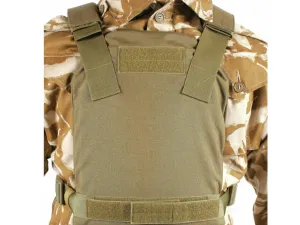 Blackhawk Low Visibility Plate Carrier (Tan)