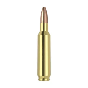 Nosler Varmageddon VGA-22 Nosler 62g VG HPFB (50ct) Ammunition 65180
