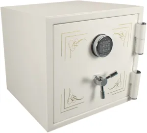 Gun Safe Buyer's Guide: How to Choose the Right Safe in 2026 110 Barska Keypad Fireproof Jewelry Safe 1.91 Cu. Ft. White